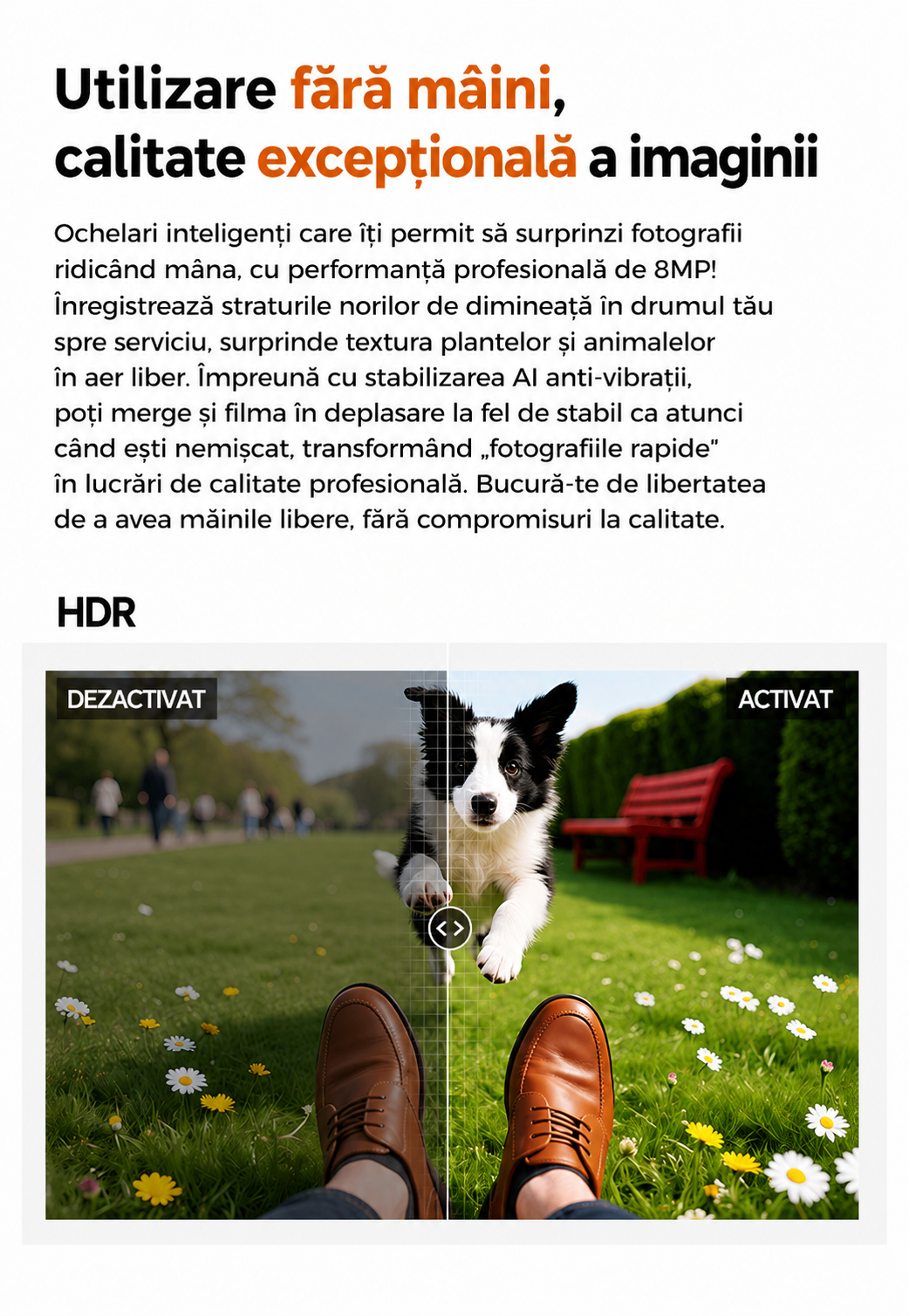 Ochelari Inteligenti AI GBV Logic GS 5MAX cu husa de incarcare, Camera Sony 8MP 4K HD, Traducere in Timp Real, Asistent AI, Apeluri Bluetooth 5.3, Microfon Dual, Lentile Fotocromatice, Husa Power Bank 3600mAh, IP54
